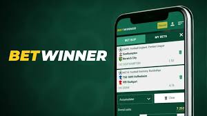 Maximize Your Wins An In-Depth Guide to Sports Betting with Betwinner